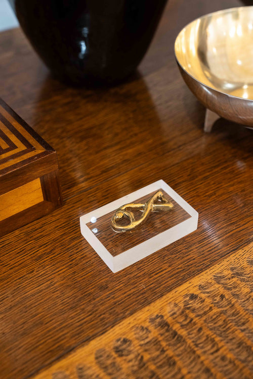 Brass fish on a transparent resin block