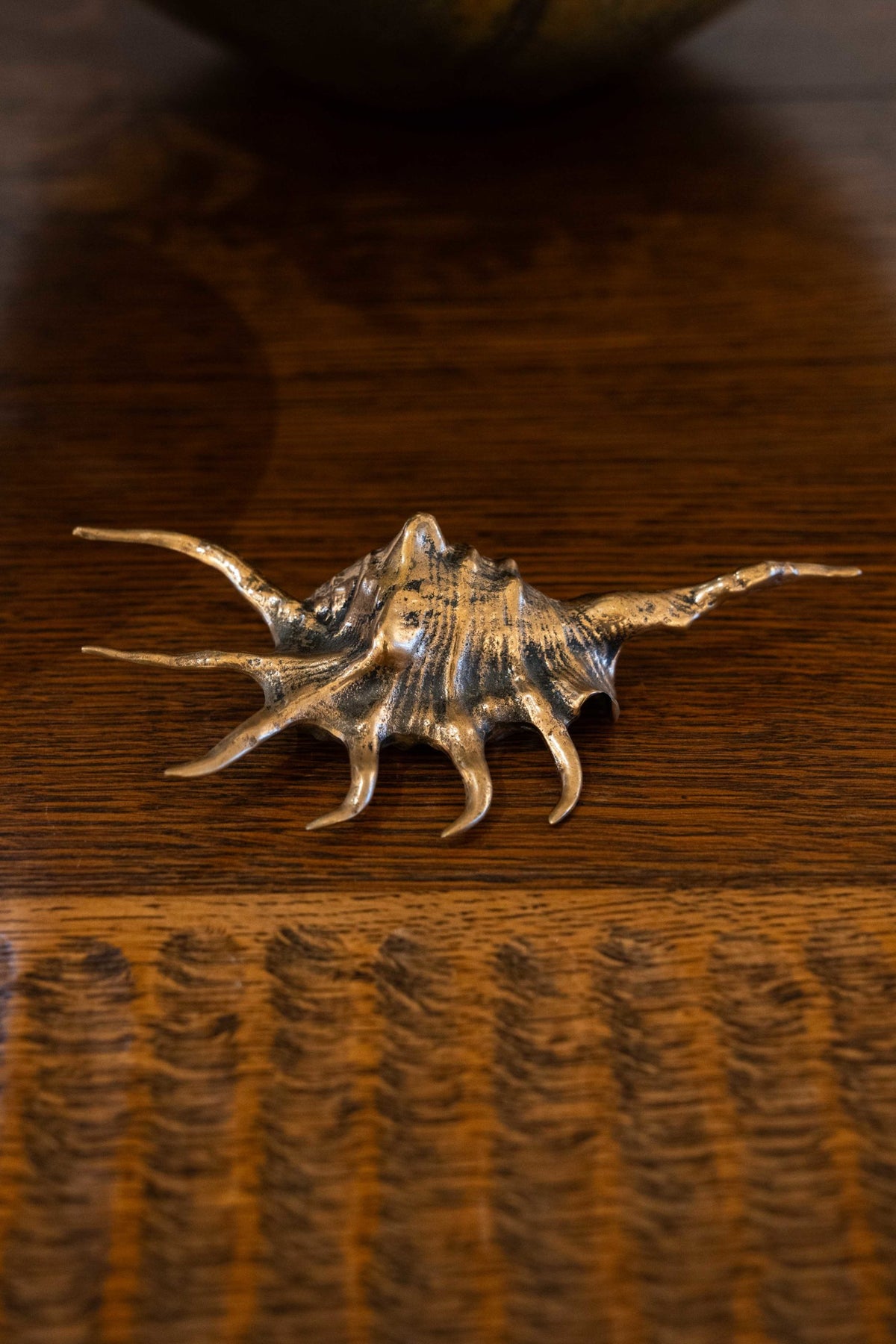 Coquillage en bronze
