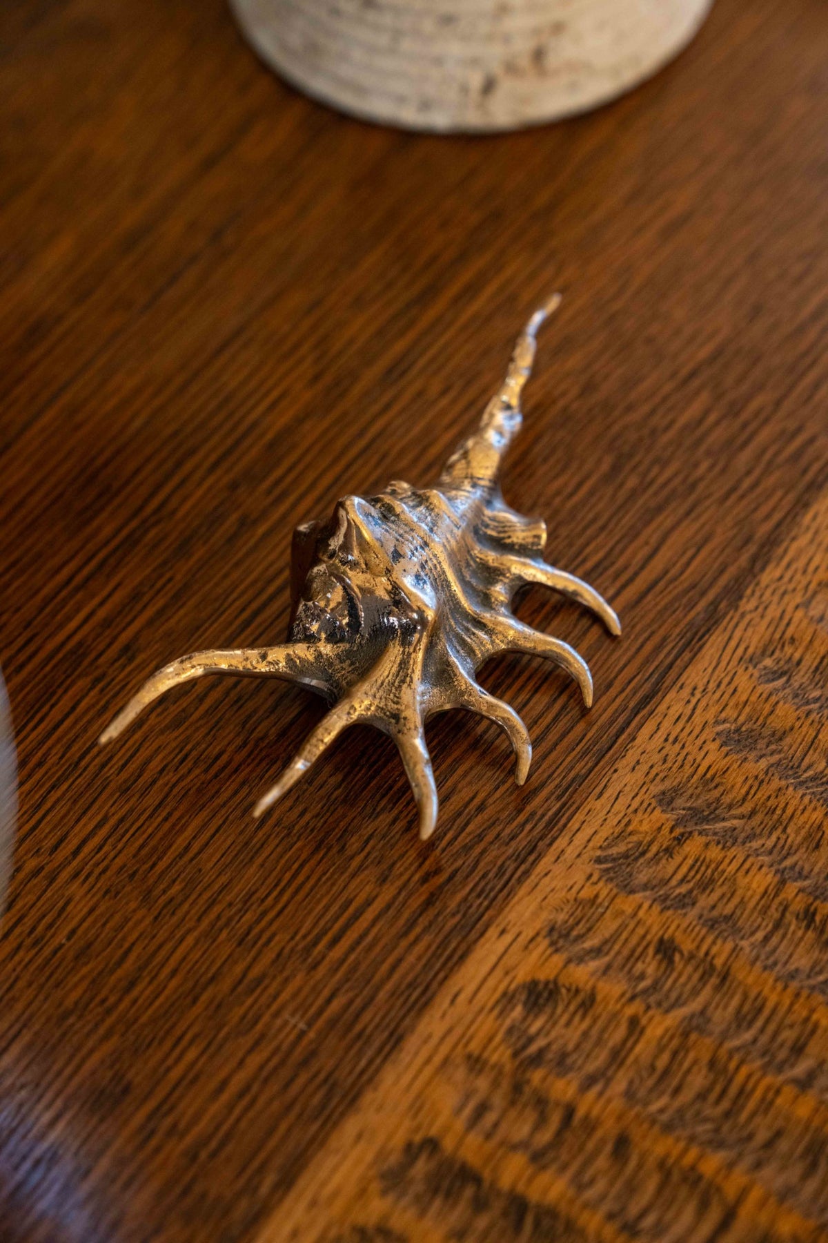 Coquillage en bronze