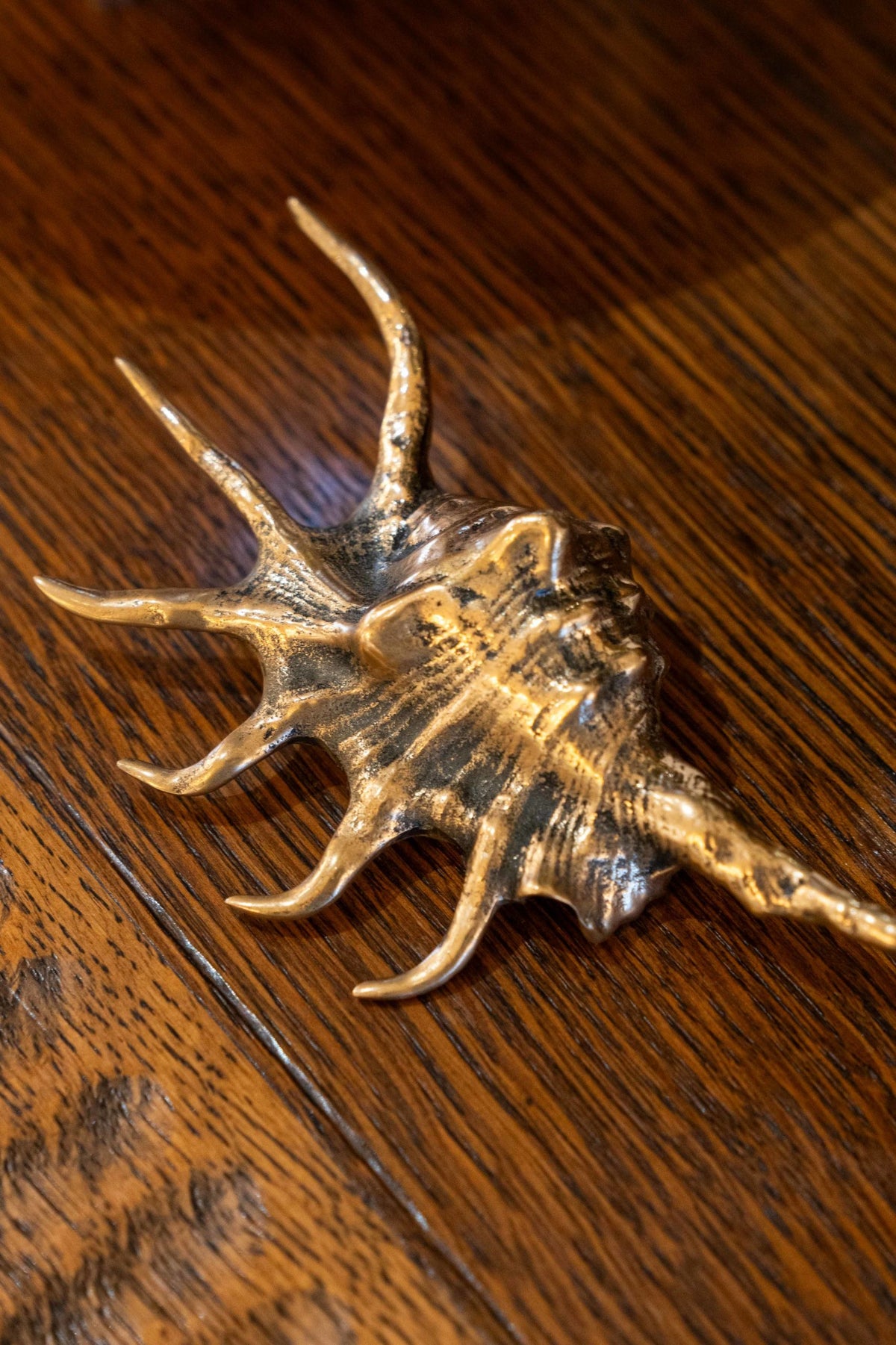 Coquillage en bronze