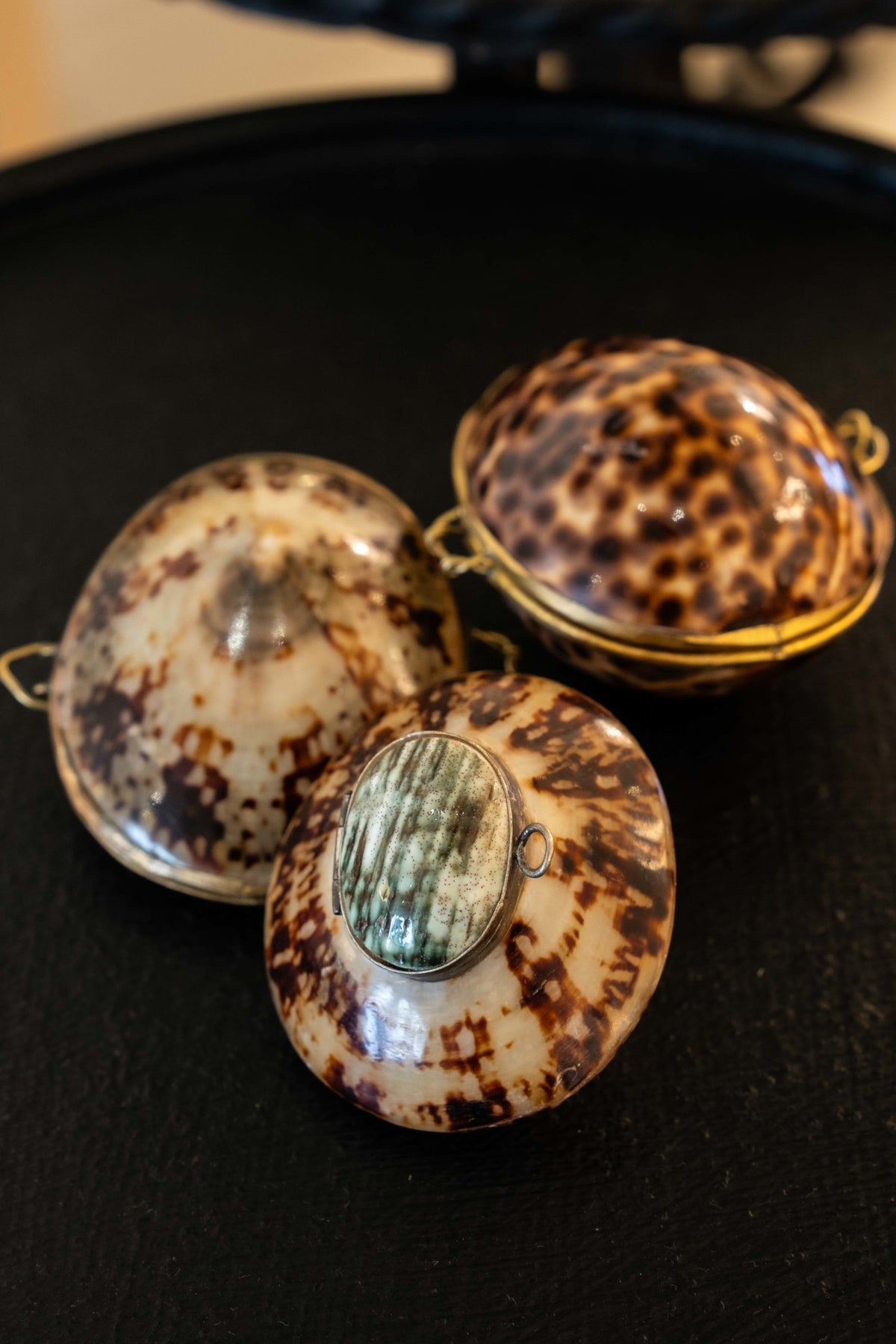 Trois petites boîtes en coquillage et montage en laiton