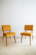 Pareja de sillas tapizadas en terciopelo amarillo