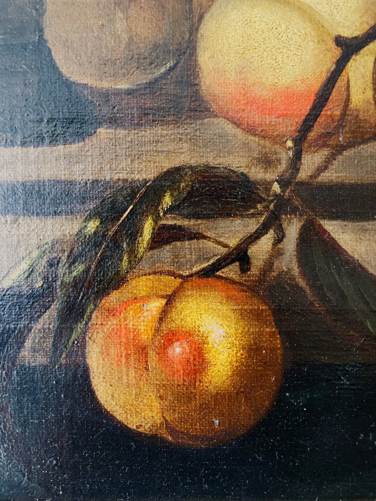 Nature morte