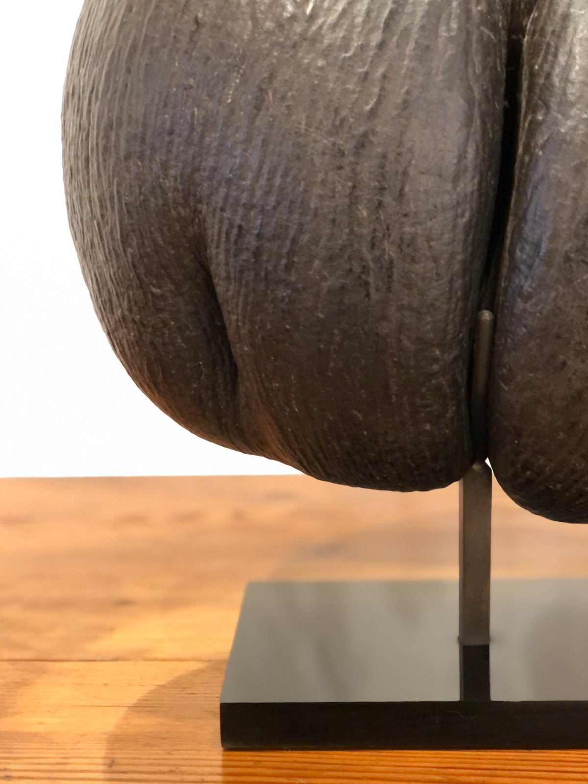 Coco-fesse